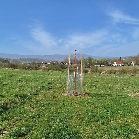Glamping Na Polanie Smaczne Spanie *